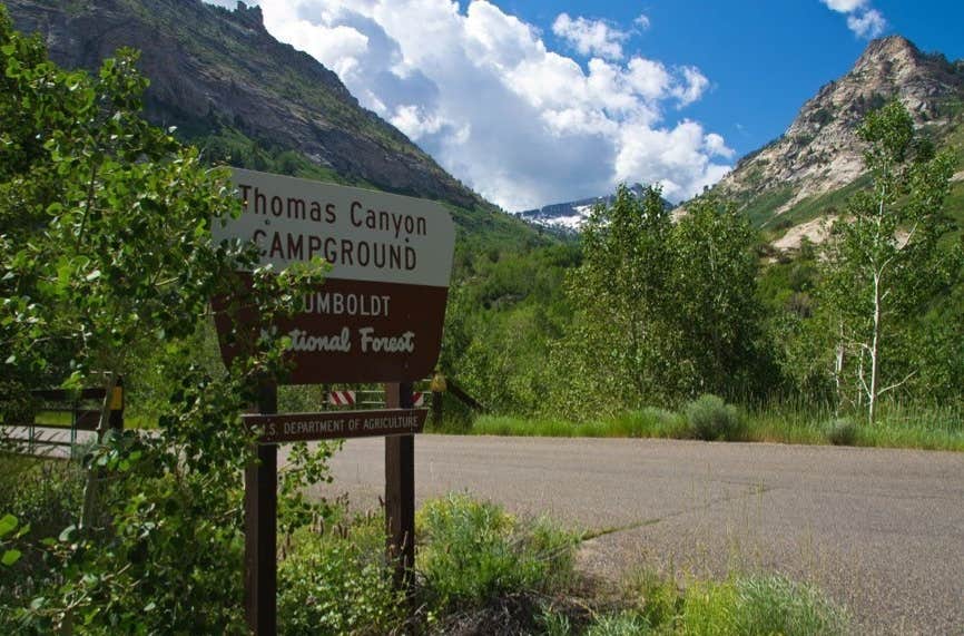 Camper submitted image from Humboldt National Forest Thomas Canyon Campground - 2