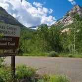 Review photo of Humboldt National Forest Thomas Canyon Campground by Miles G., September 23, 2021