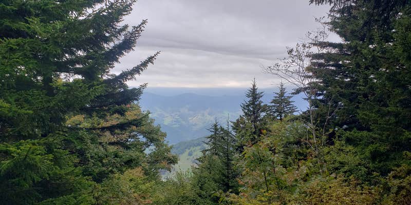 Camper submitted image from Spruce Knob and Spruce Knob Observation Tower