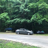 Review photo of Kanawha State Forest by Dan L., July 1, 2018