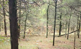 Camping near Miracle Mountain Homestead: OHT Backcountry Primitive Site, Combs, Arkansas