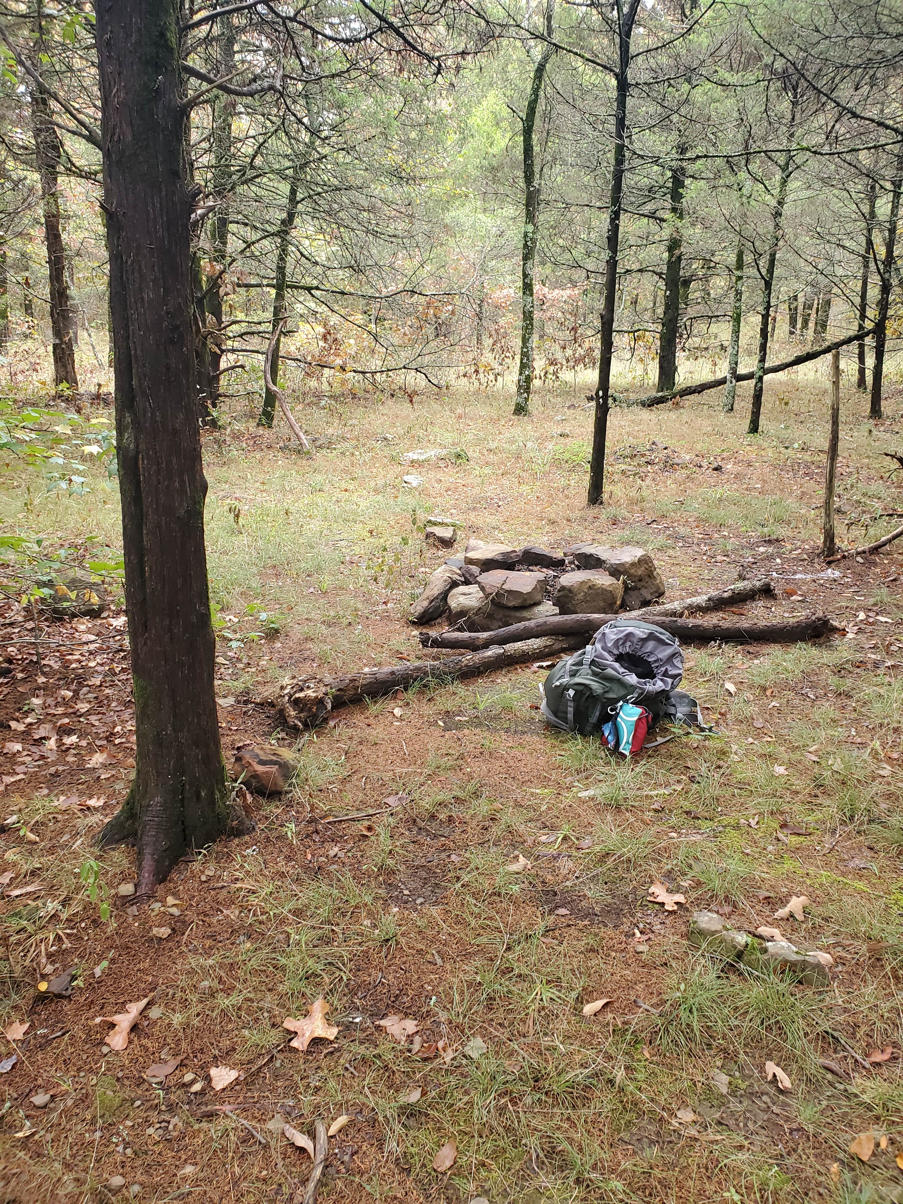 Camper submitted image from OHT Backcountry Primitive Site - 1