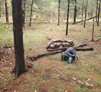 Camper-submitted photo from OHT Backcountry Primitive Site