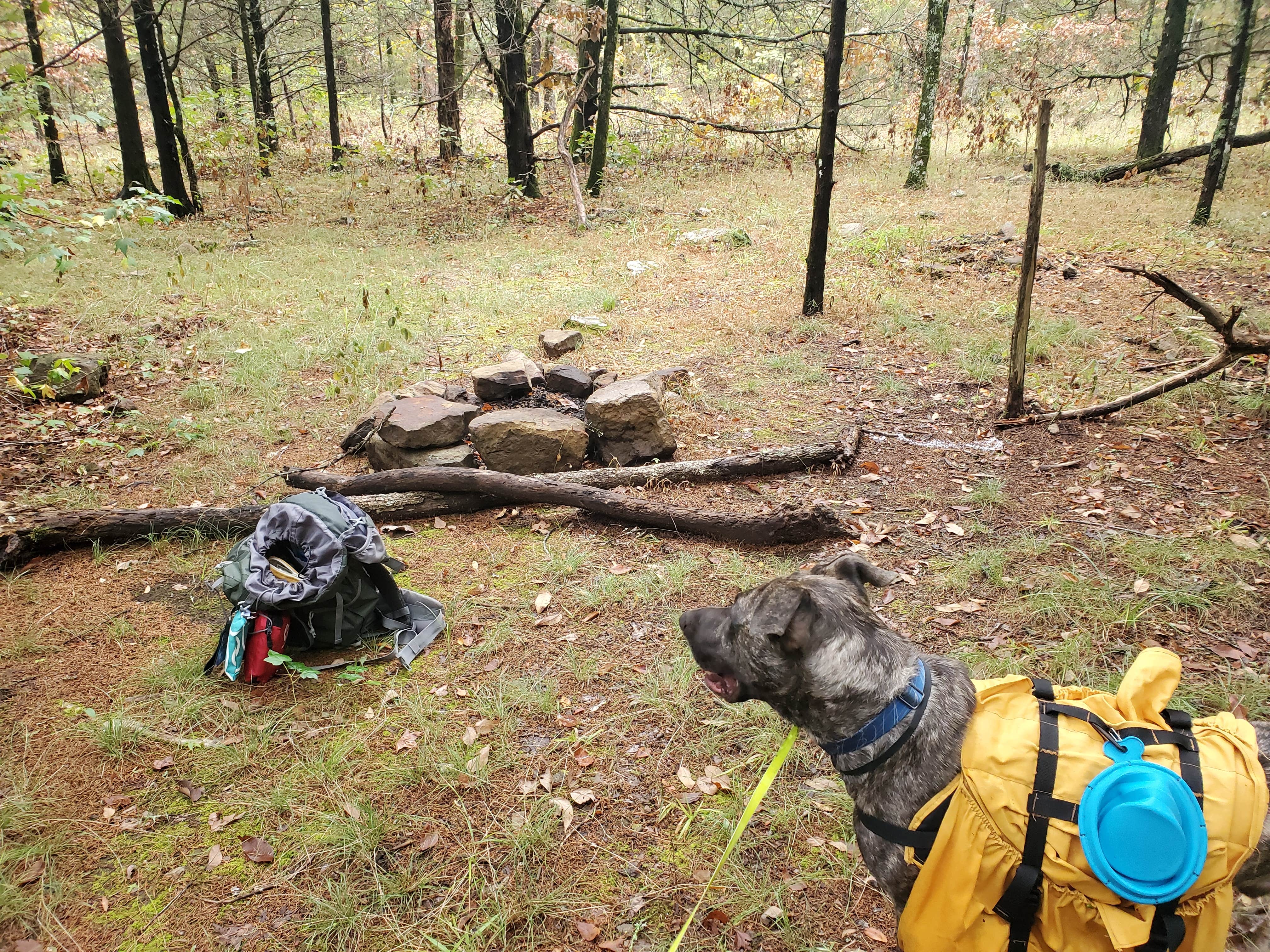 Camper submitted image from OHT Backcountry Primitive Site - 2