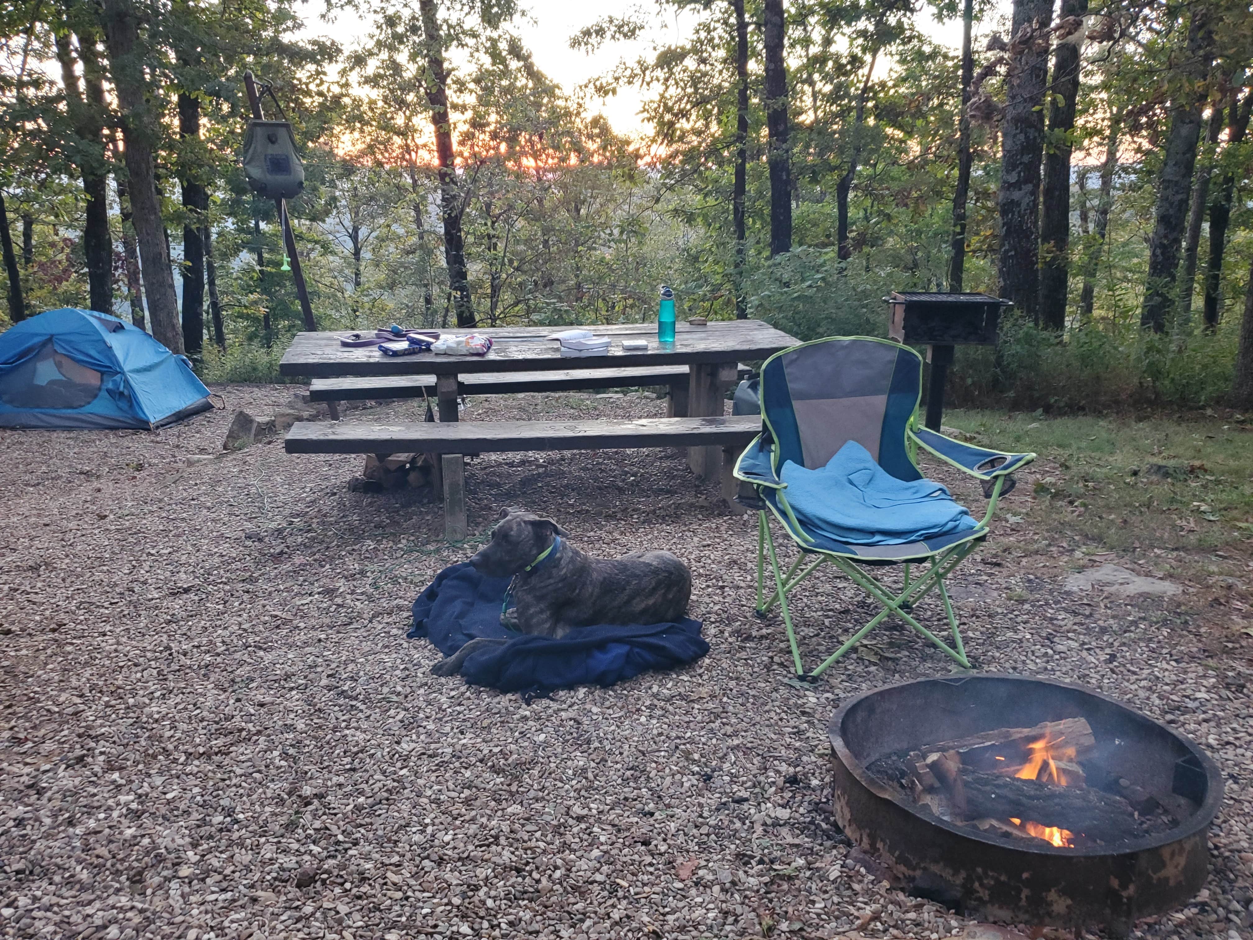 Veronica S.'s photo of camping with pets at White Rock Mountain Recreation Area near Witter, AR