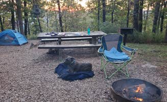 Veronica S.'s photo of camping with pets at White Rock Mountain Recreation Area near Mulberry, AR