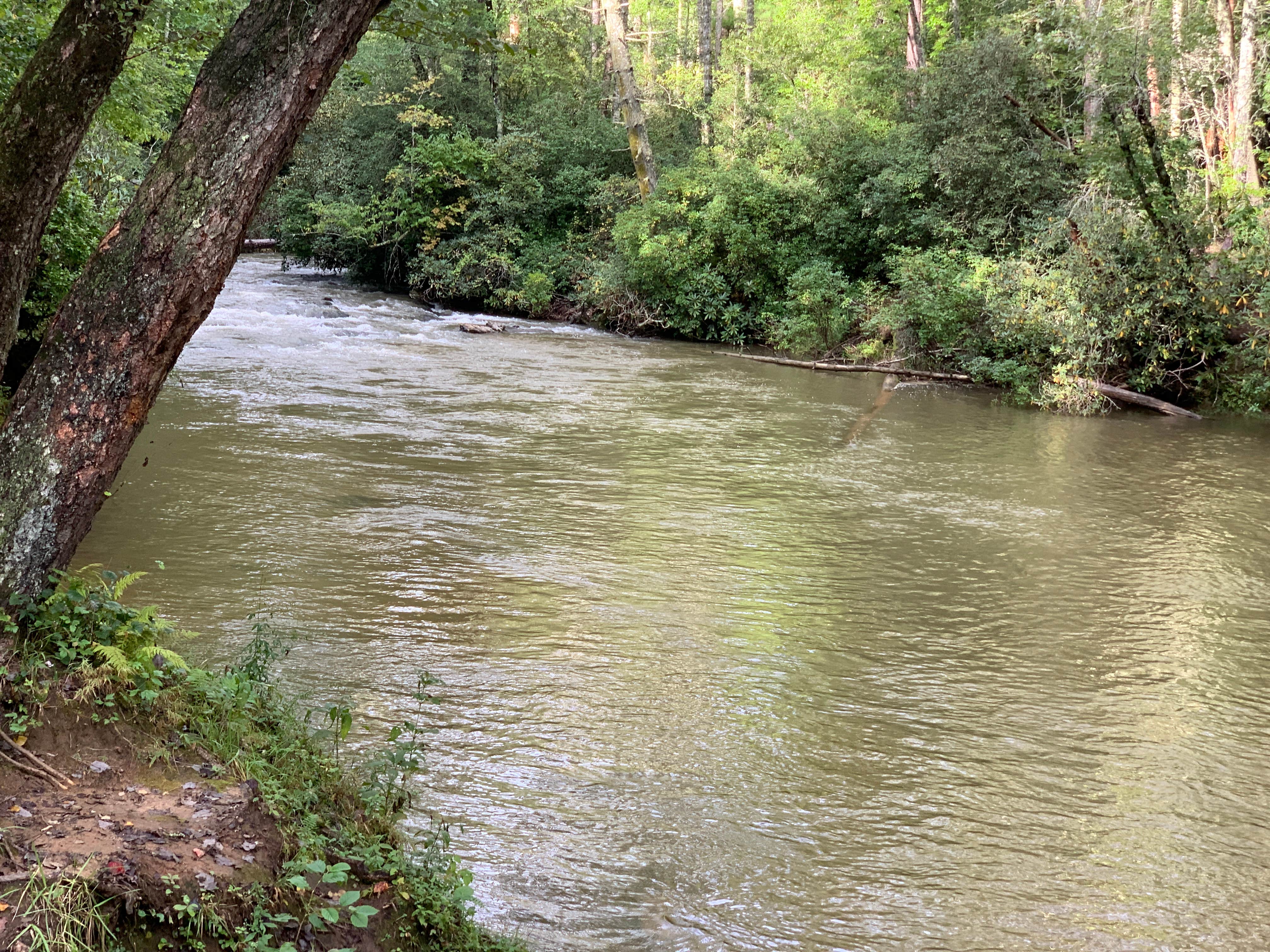 Camper submitted image from Blackwell Bridge - 4