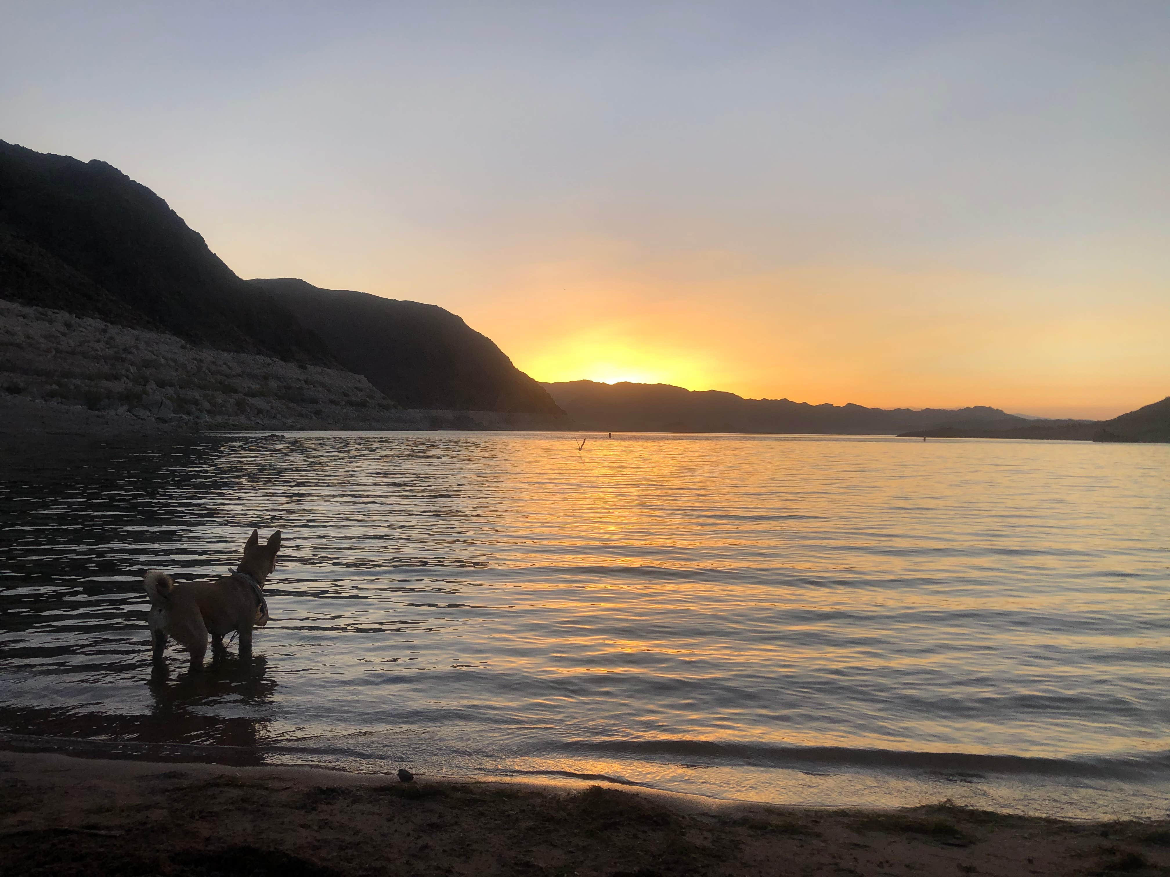 savannah's photo of a dispersed camping area at Kingman Wash — Lake Mead National Recreation Area near Sloan, NV