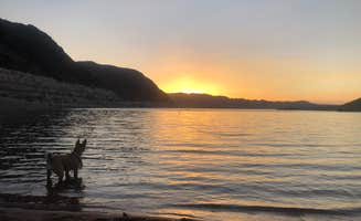 savannah's photo of a dispersed camping area at Kingman Wash — Lake Mead National Recreation Area in Arizona