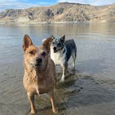 Review photo of Spring Canyon Campground — Lake Roosevelt National Recreation Area by Emily S., September 23, 2021