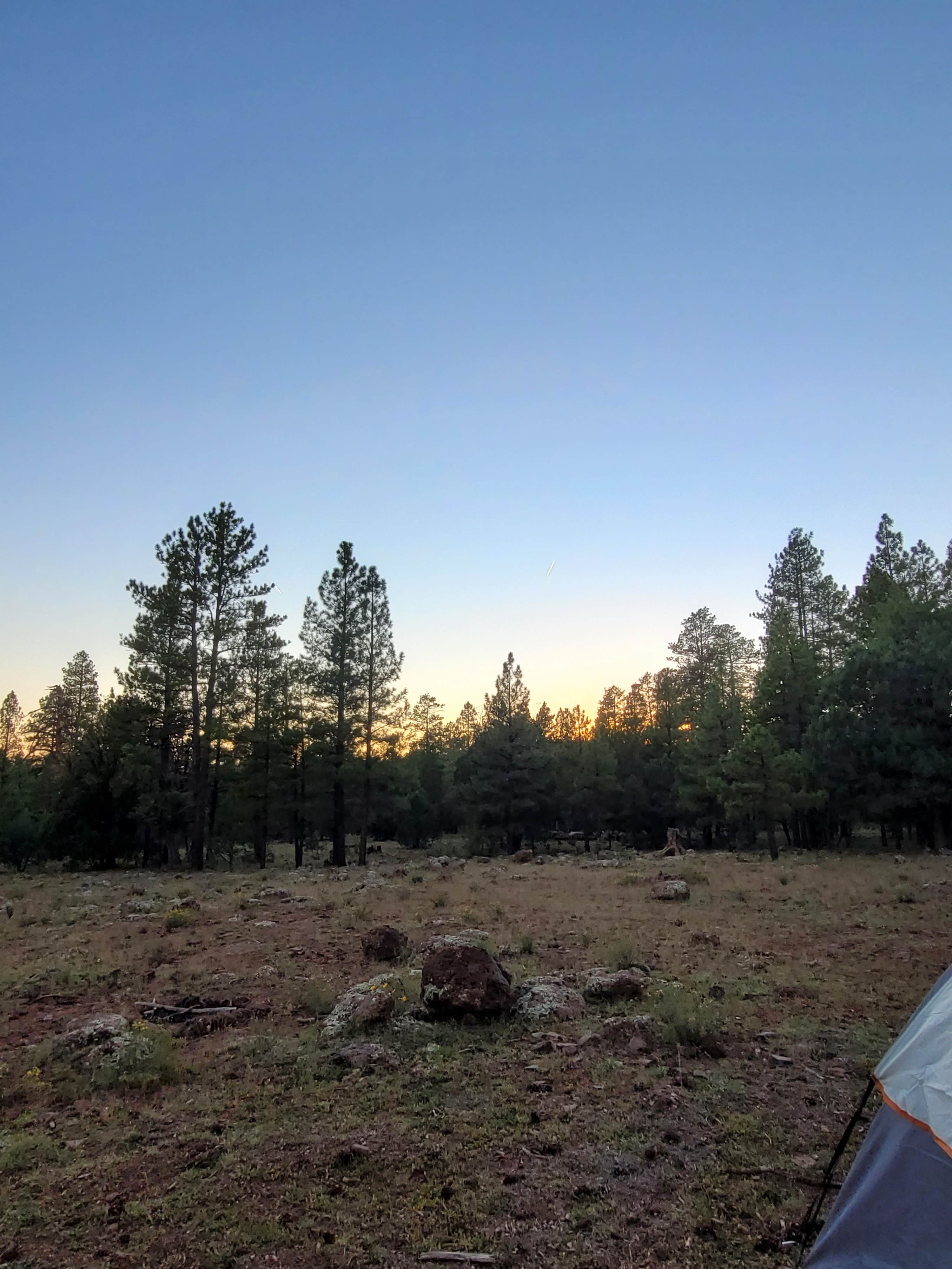 Jade F.'s photo at Schnebly Hill Road (FR153) Dispersed - TEMPORARILY CLOSED in Arizona