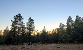 Jade F.'s photo at Schnebly Hill Road (FR153) Dispersed - TEMPORARILY CLOSED near Sedona, AZ
