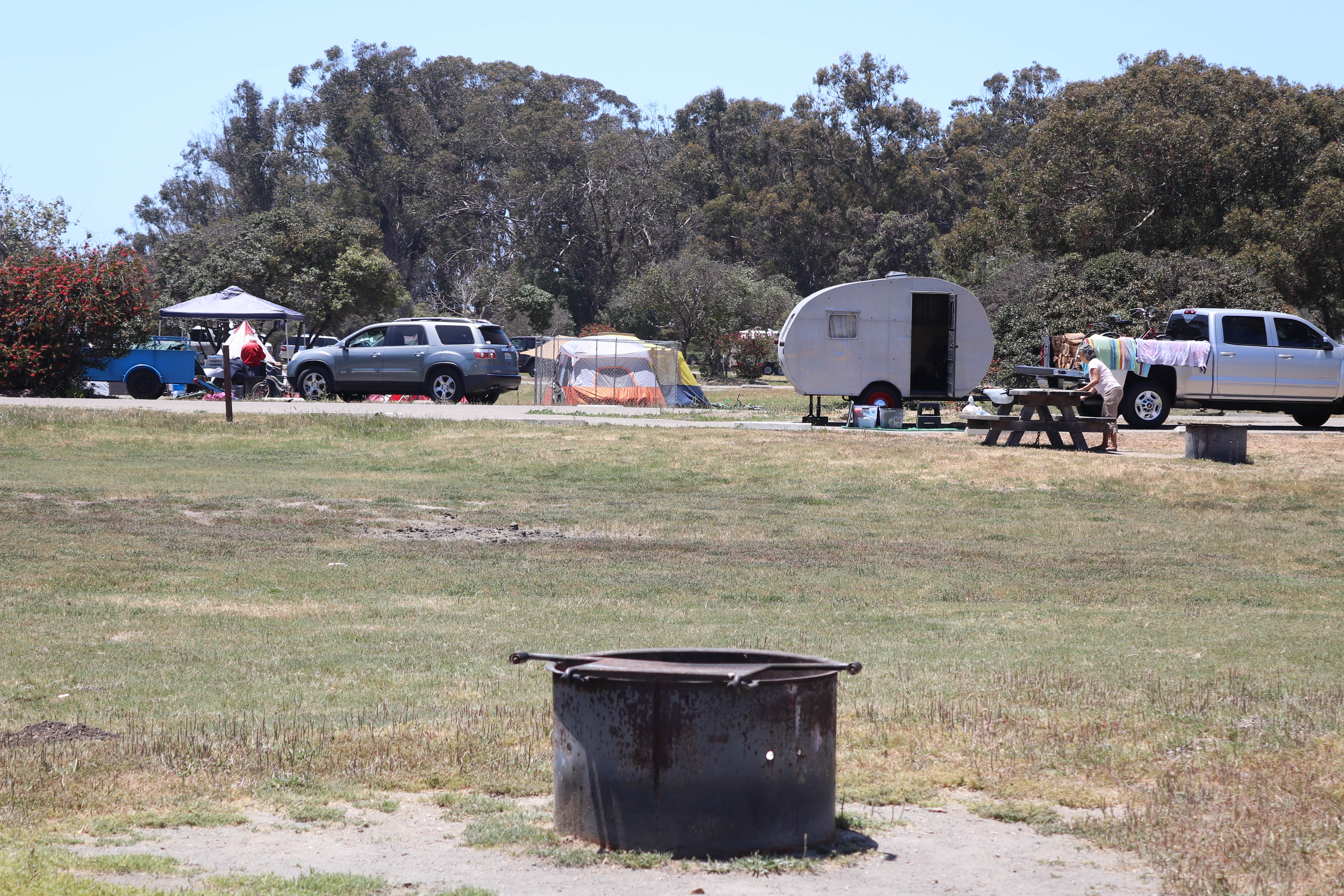 Camper submitted image from Oceano Campground — Pismo State Beach - 4