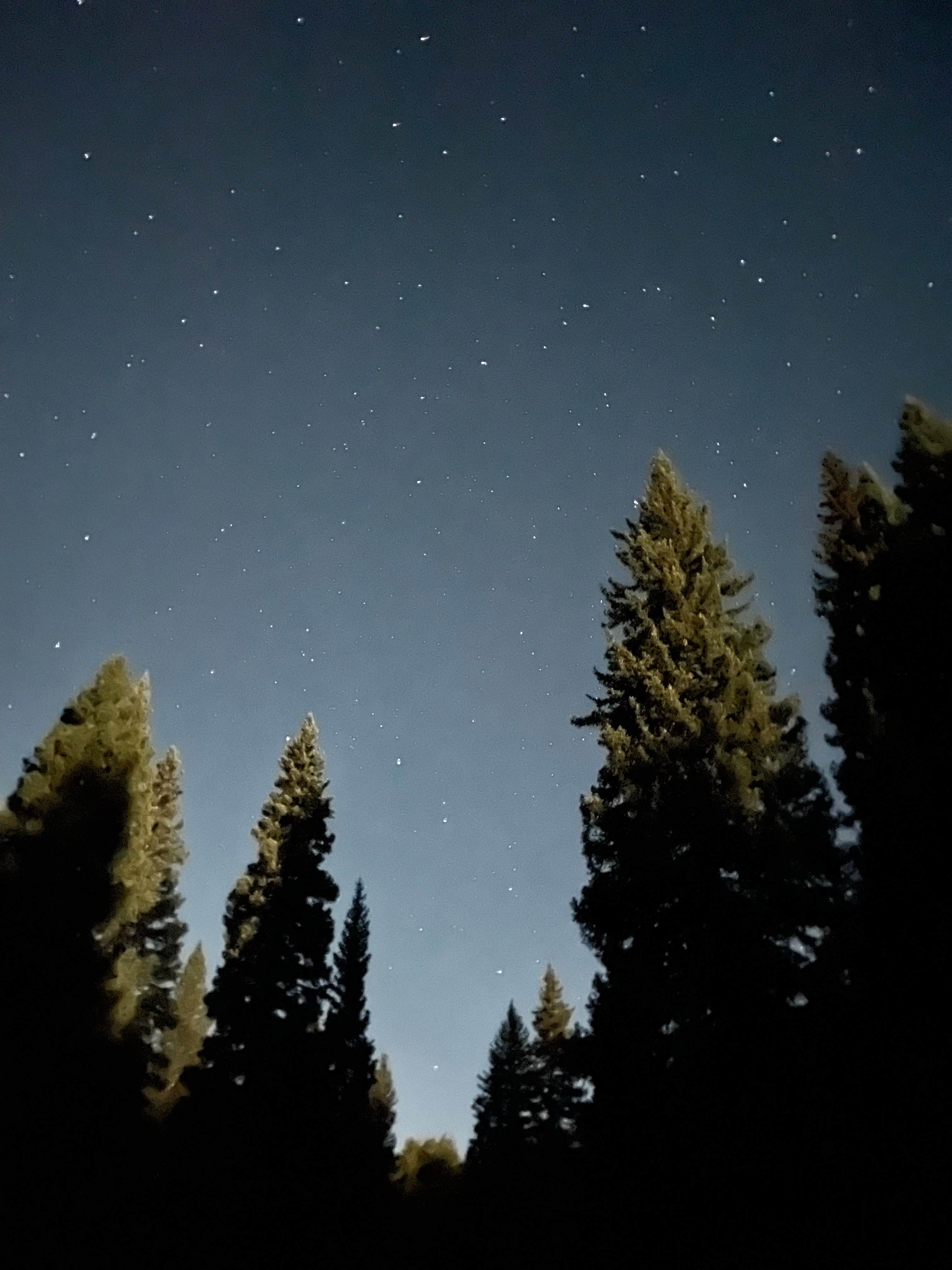 Heather E.'s photo of a dispersed camping area at Washington Gulch Dispersed Camping - PERMANENTLY CLOSED near Snowmass Village, CO