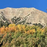 Review photo of Washington Gulch Dispersed Camping by Heather E., September 23, 2021