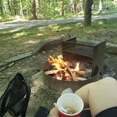 Review photo of Elk Neck State Park Campground by Echo , September 23, 2021