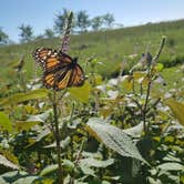 Review photo of Elk Neck State Park Campground by Echo , September 23, 2021