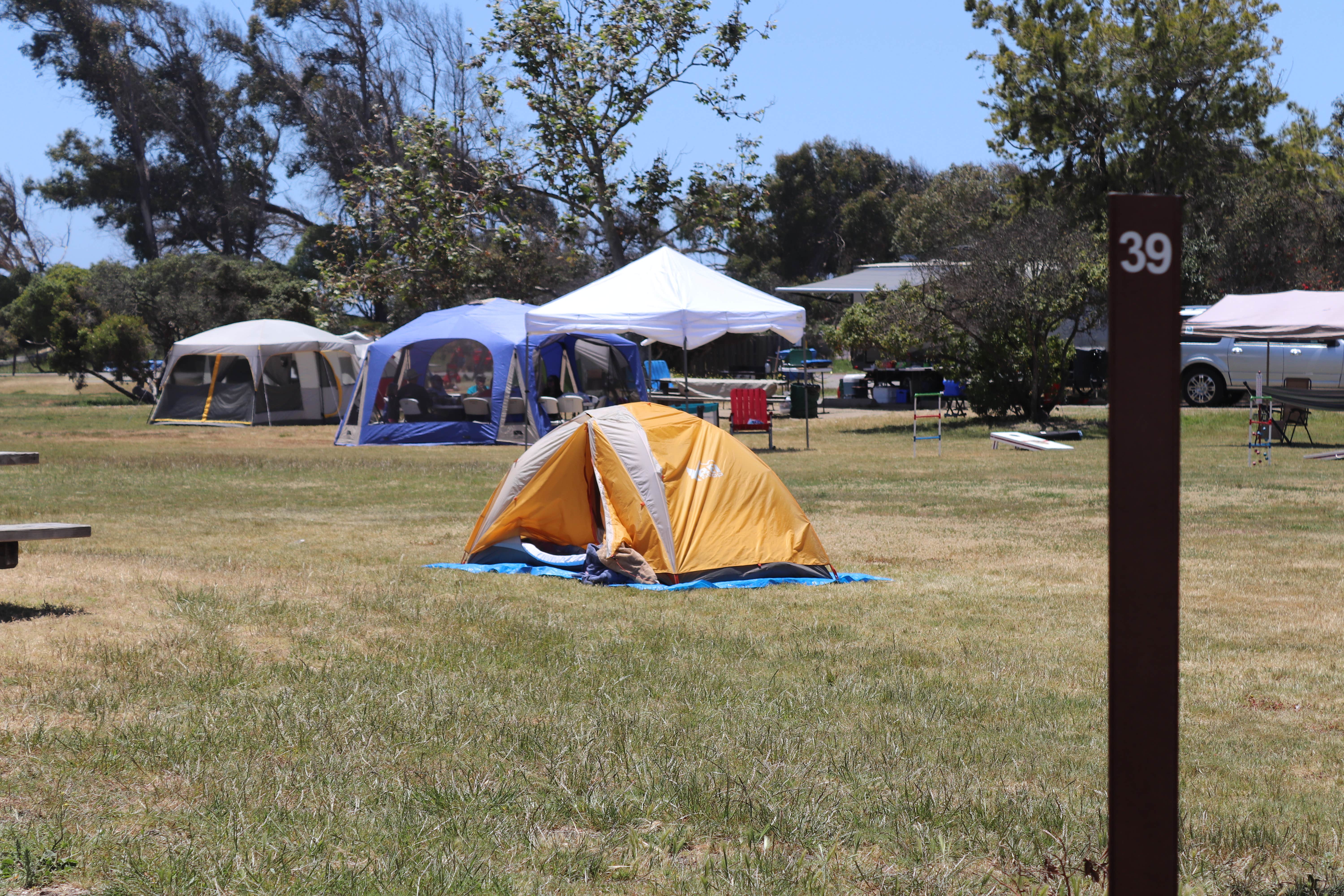 Annie C.'s photo at Oceano Campground — Pismo State Beach near Pismo Beach, CA