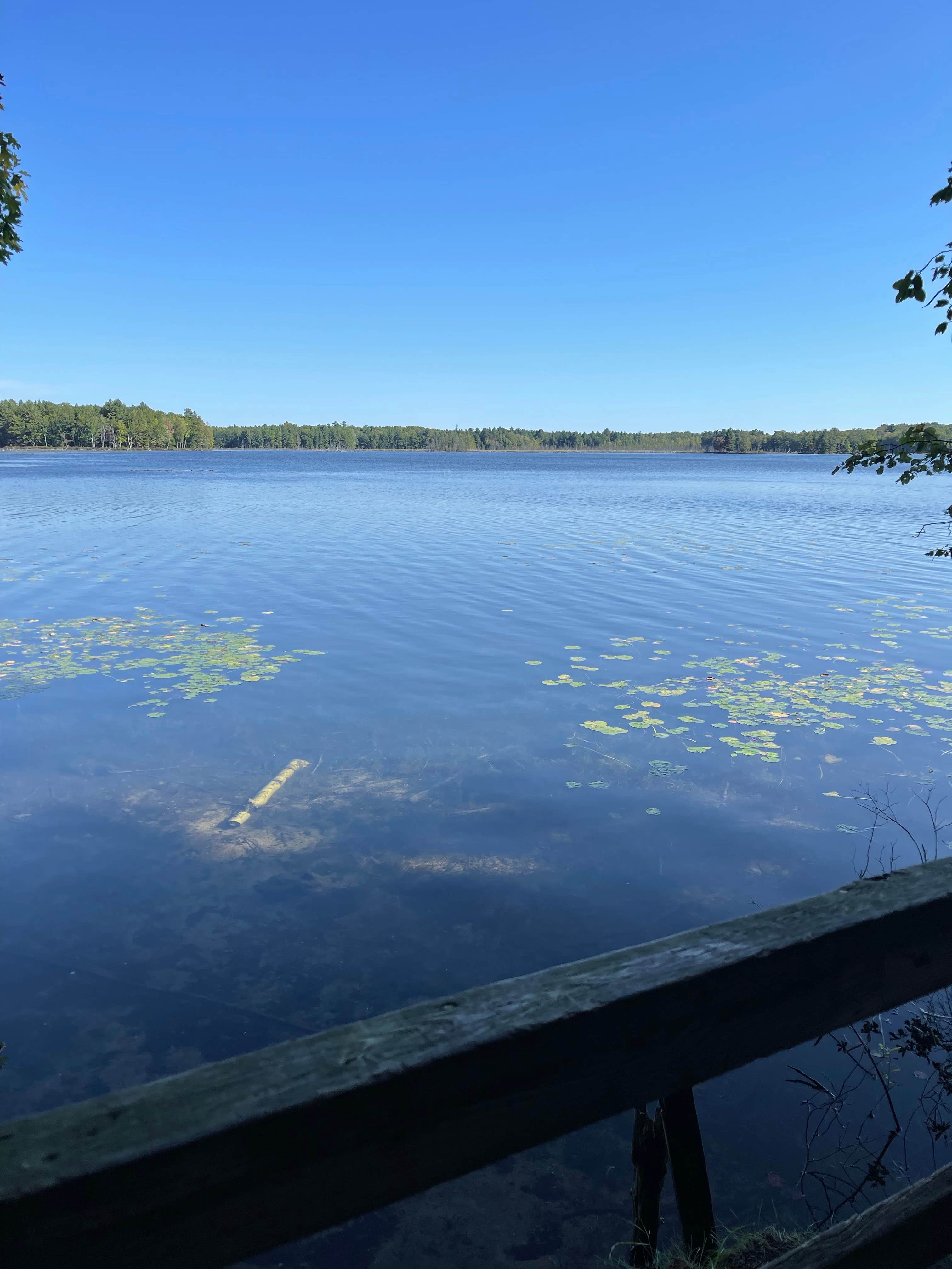 Camper submitted image from Lake Dubonnet State Forest Campground - 2