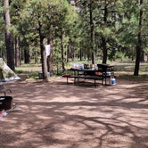 Review photo of Sitgreaves National Forest Canyon Point Campground by Troy G., September 23, 2021