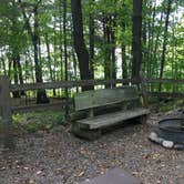 Review photo of Lake of the Pines Campground — Flambeau River State Forest by Marty , September 23, 2021