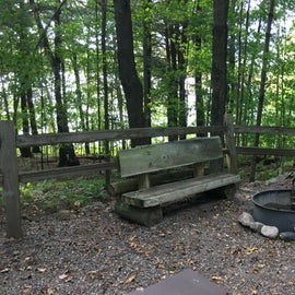 Interesting benches made by the Wisconsin Conservation Corps. Many are decayed.