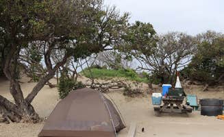 Annie C.'s photo at Morro Strand State Beach Campground near Atascadero, CA