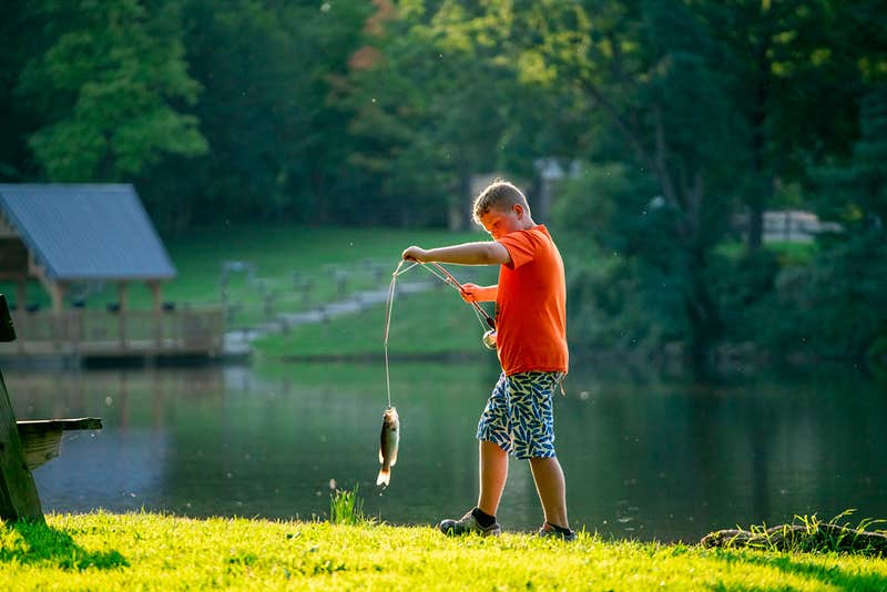 Camper-submitted photo at Thompson/Grand River Valley KOA Holiday near Perry, OH