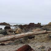 Review photo of Morro Strand State Beach Campground by Annie C., July 1, 2018