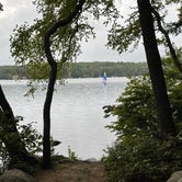 Review photo of Pawtuckaway State Park Campground by LoneCamper C., September 24, 2021