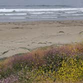 Review photo of Morro Strand State Beach Campground by Annie C., July 1, 2018