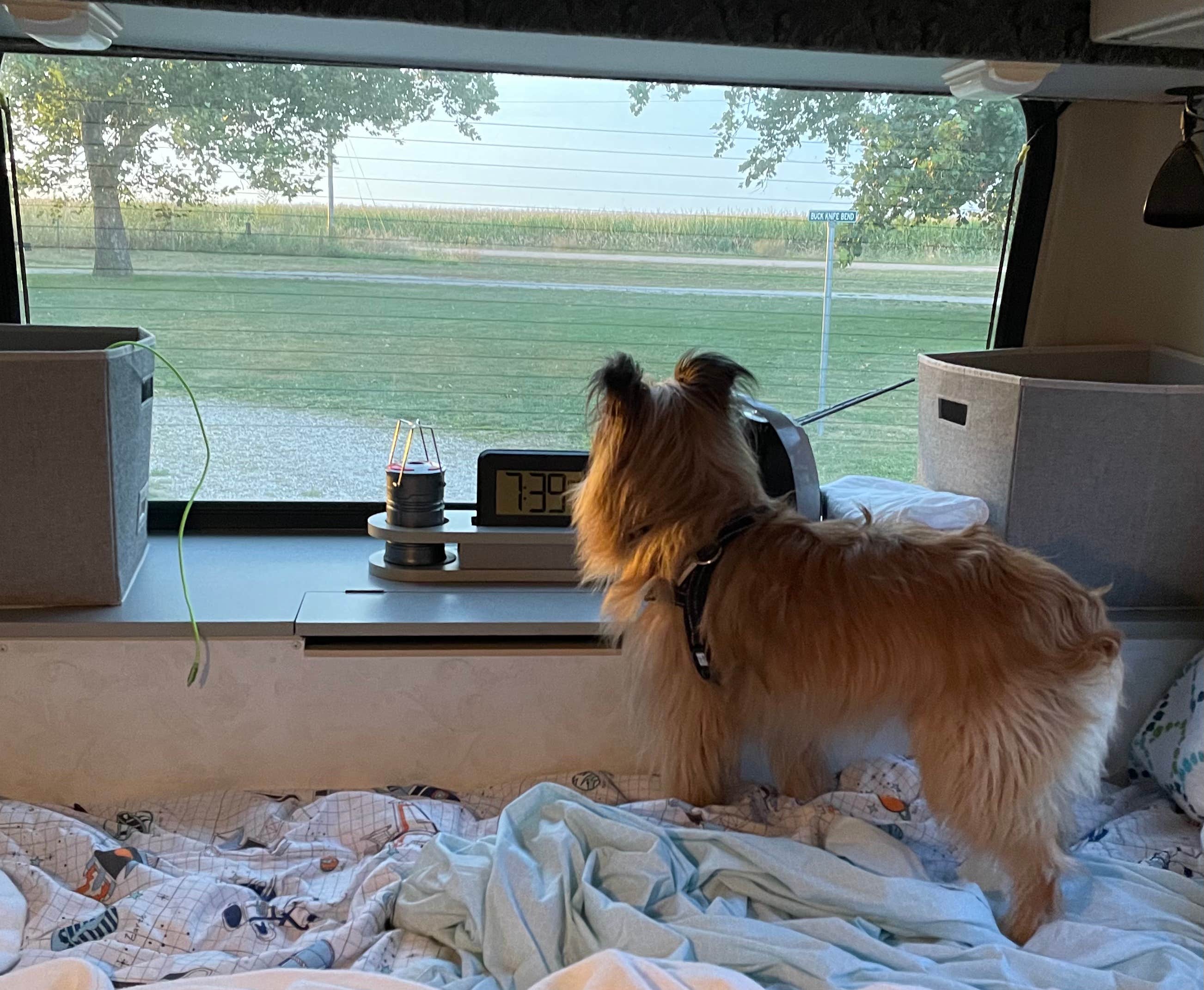 Susan's photo of camping with pets at Grand Island KOA near Kearney, NE