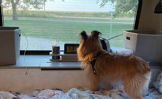 Susan's photo of camping with pets at Grand Island KOA near Stromsburg, NE