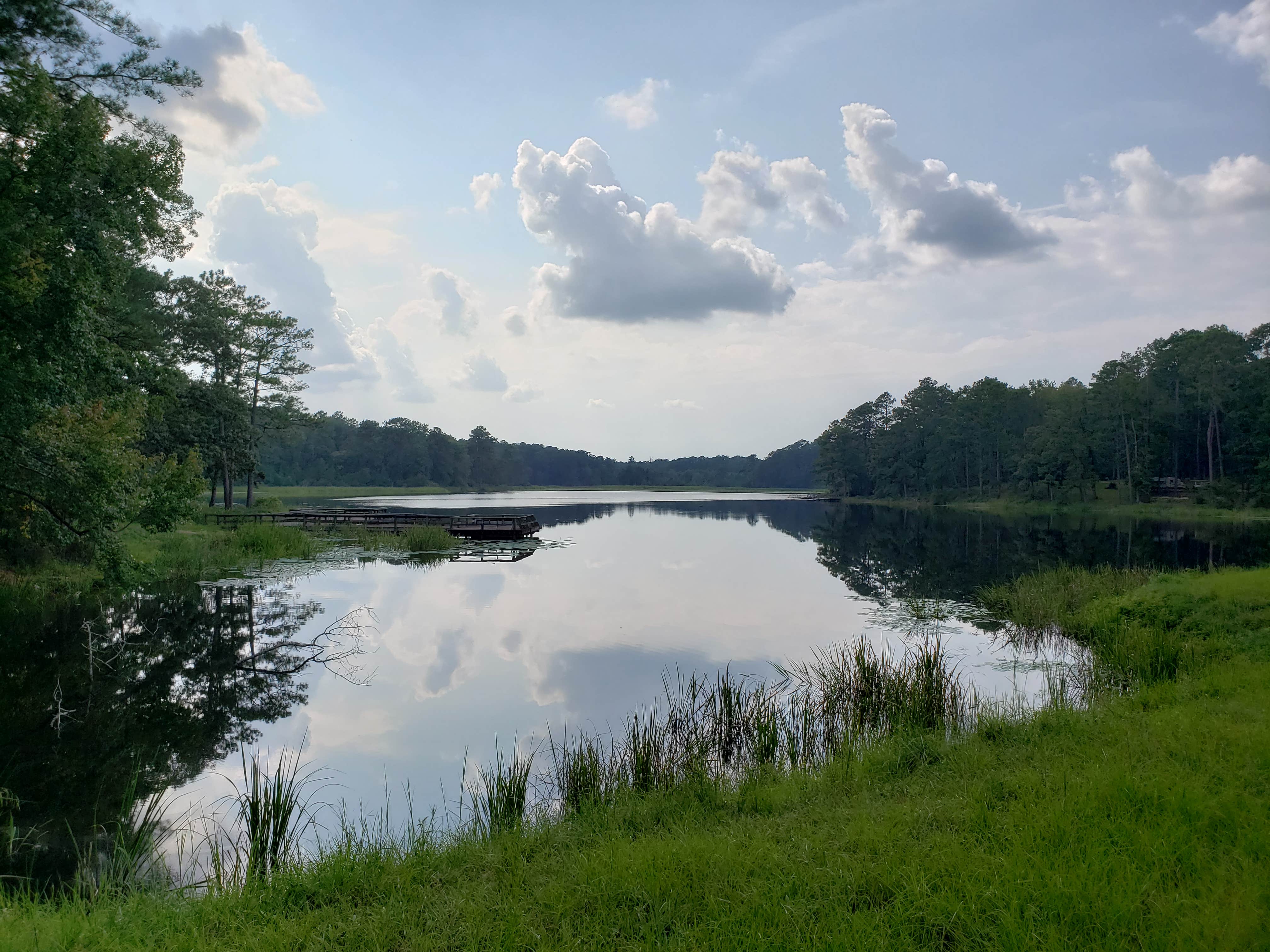 Camper submitted image from Valentine Lake Northshore Campground - 3