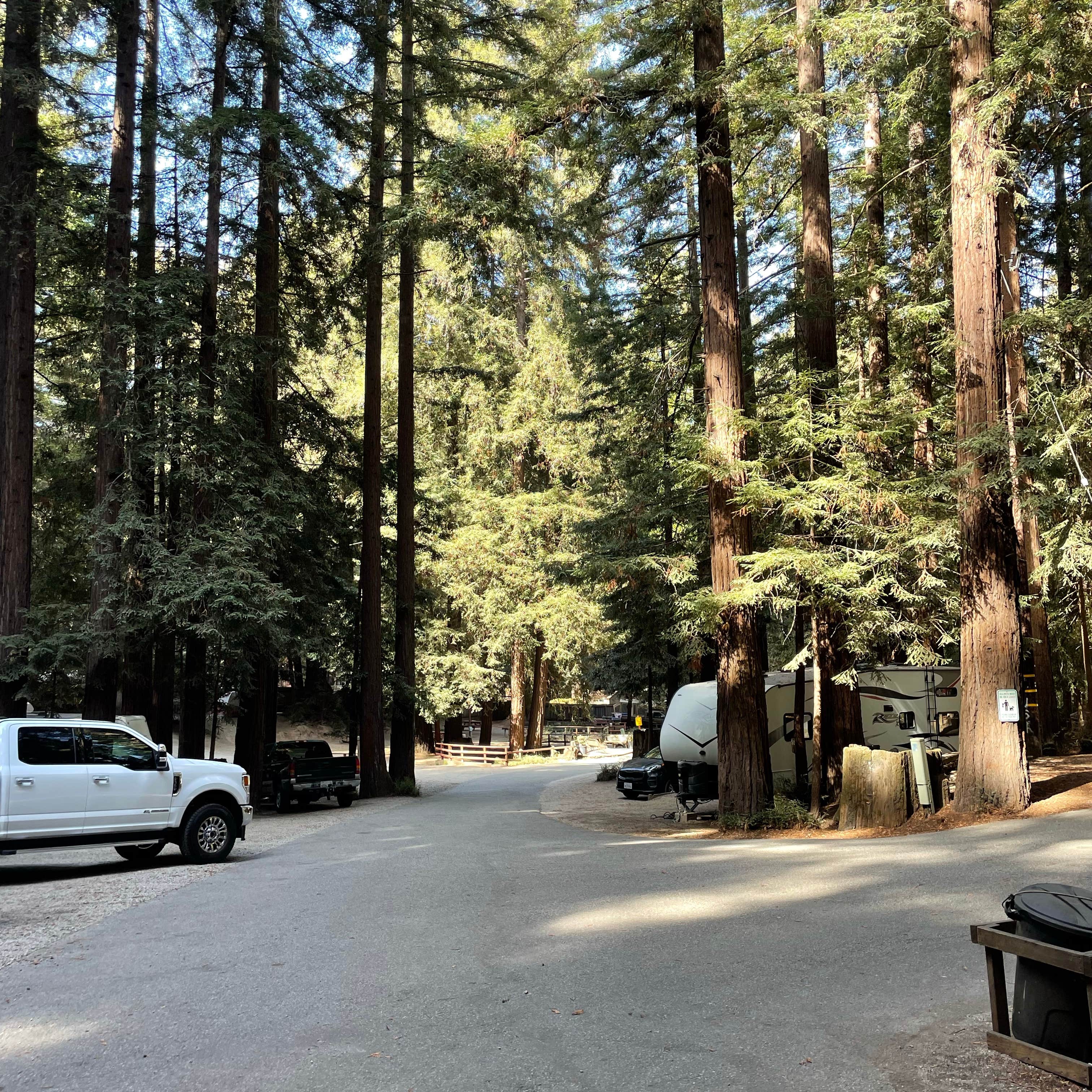 Escape To Paradise: Southern California Cotillion Gardens RV Park – Your Home Away From Home
