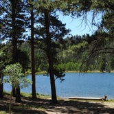 Review photo of O'Haver Lake Campground by Randy H., September 24, 2021