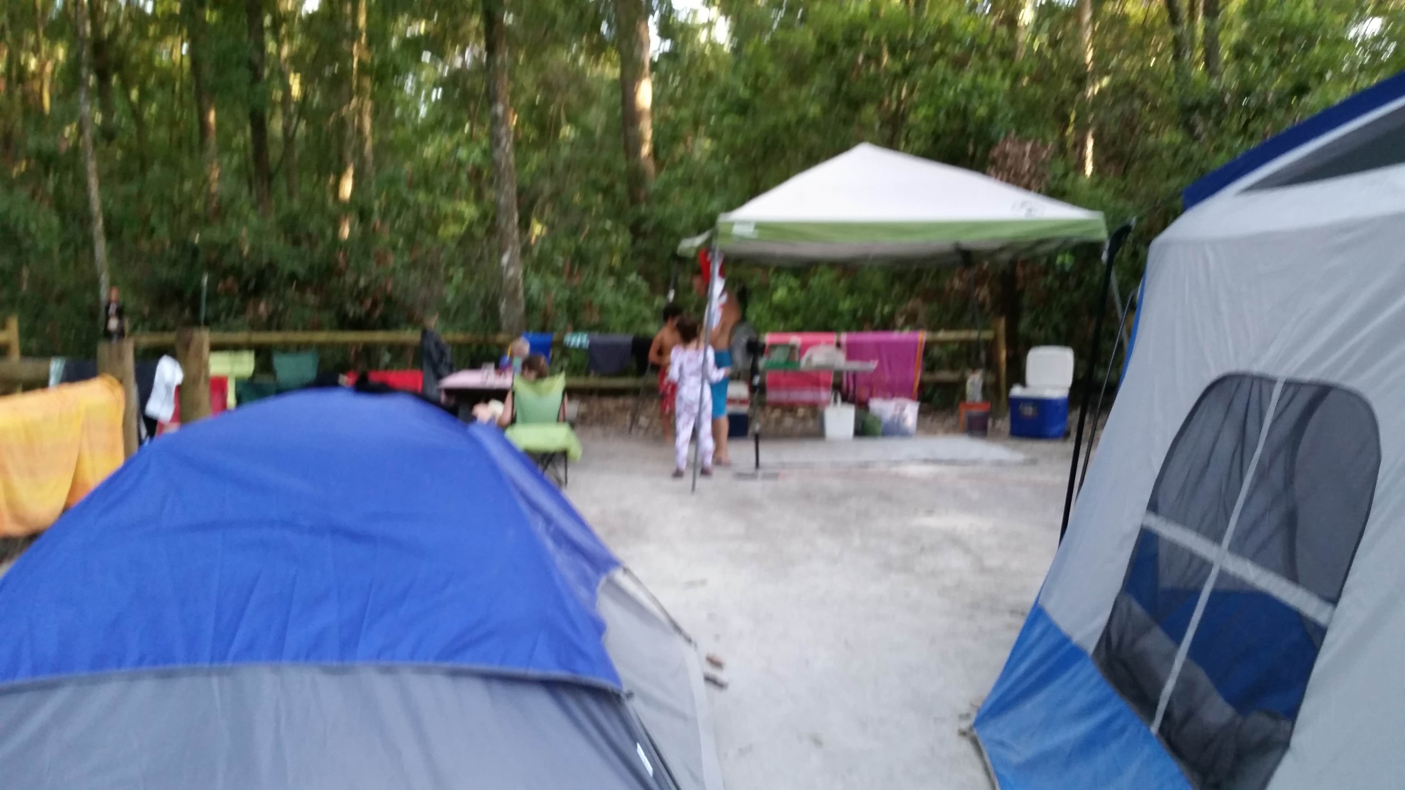 Camper-submitted photo at Magnolia Campground — O'Leno State Park near Fort White, FL