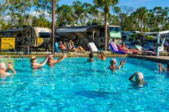 Camper submitted image from Naples/Marco Island KOA Holiday - 2