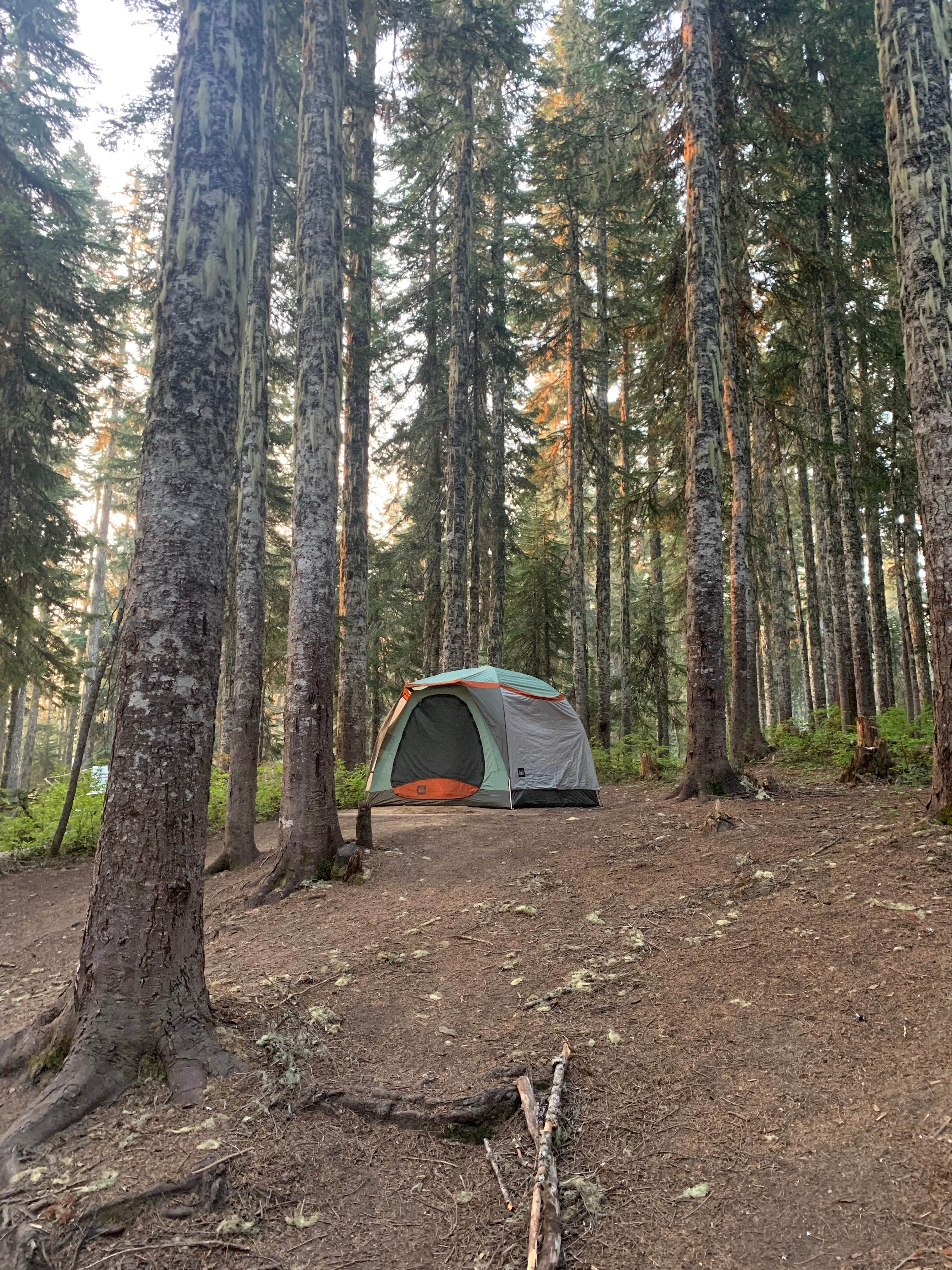 Reid B.'s photo at Takhlakh Lake Campground near Gifford Pinchot National Forest