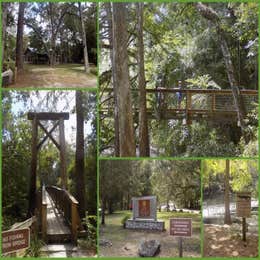 Magnolia Campground — O'Leno State Park
