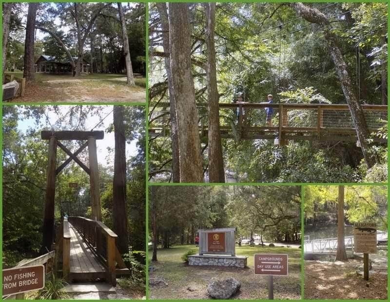 Camper submitted image from Magnolia Campground — O'Leno State Park - 1