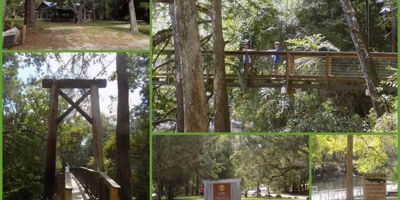 Camper submitted image from Magnolia Campground — O'Leno State Park