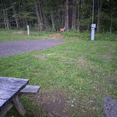 Review photo of Red Oak Campground by MsTrailBlazer 🏔., September 24, 2021
