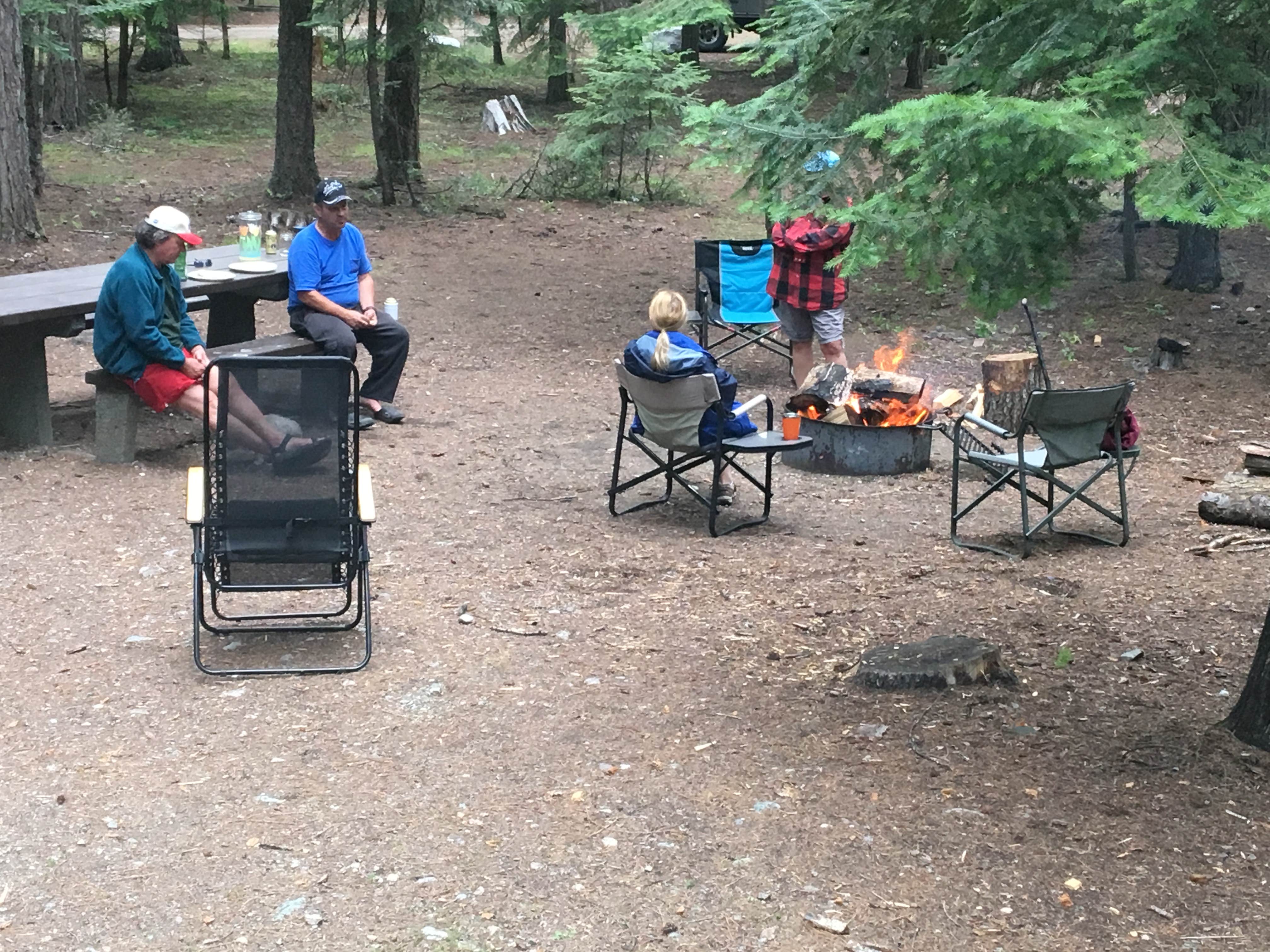Camper submitted image from Sullivan Lake Campground - 5