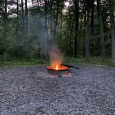 Review photo of Black Moshannon State Park Campground by MsTrailBlazer 🏔., September 24, 2021