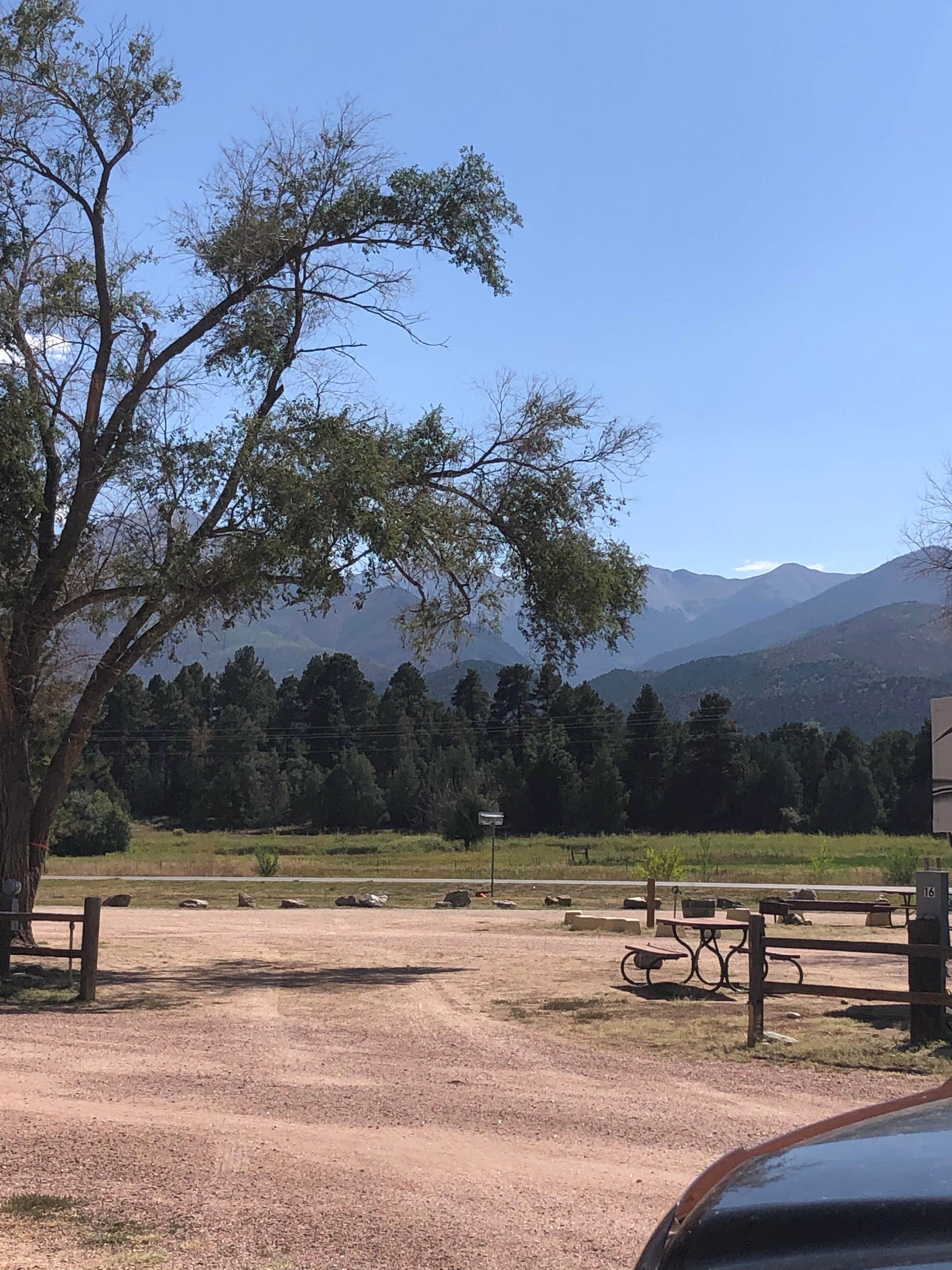 Camper-submitted photo at Bighorn Park near Saguache, CO