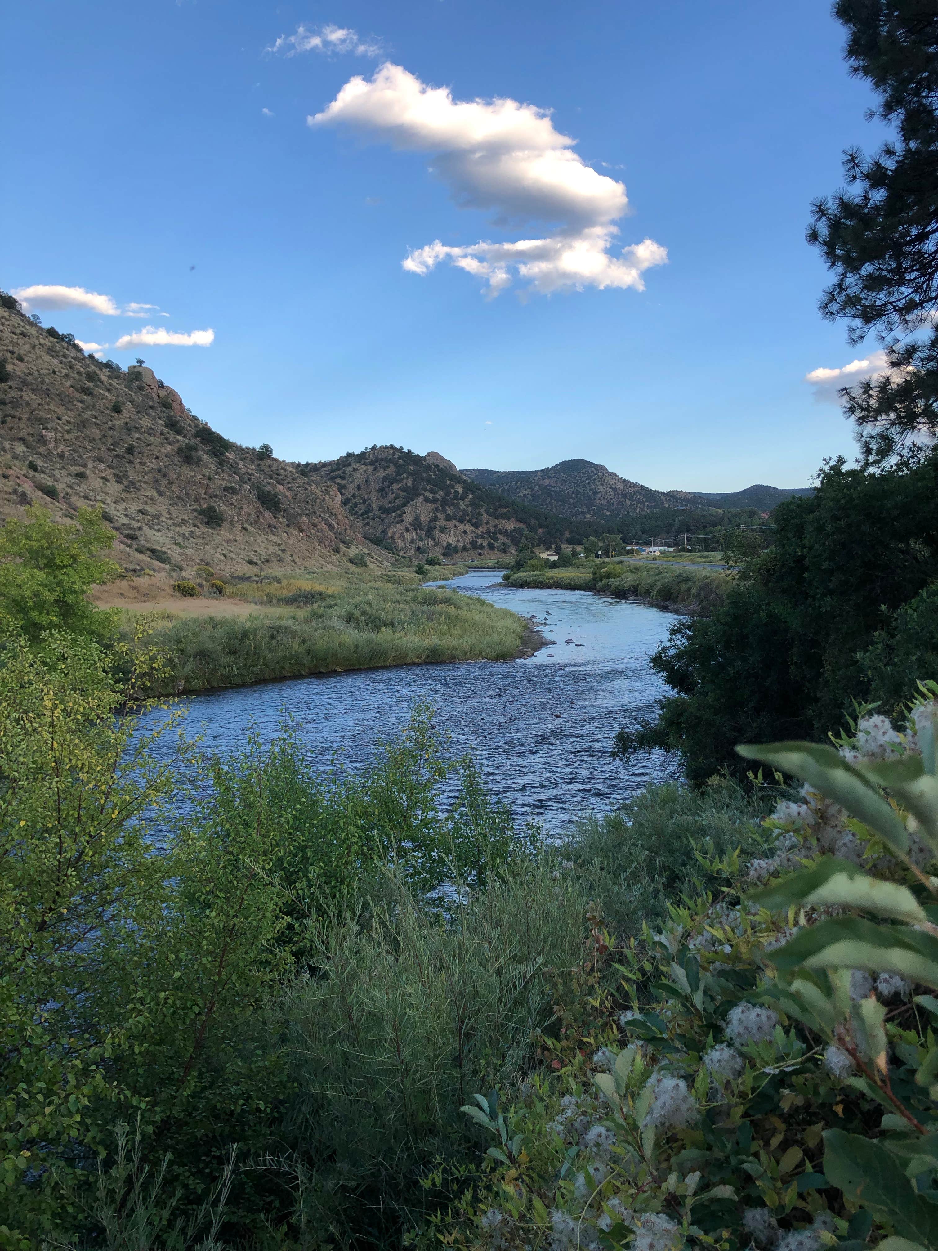 Camper-submitted photo at Bighorn Park near Saguache, CO