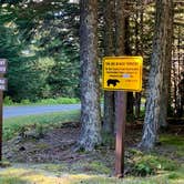 Review photo of Chilkat Bald Eagle Preserve by SJ D., September 24, 2021