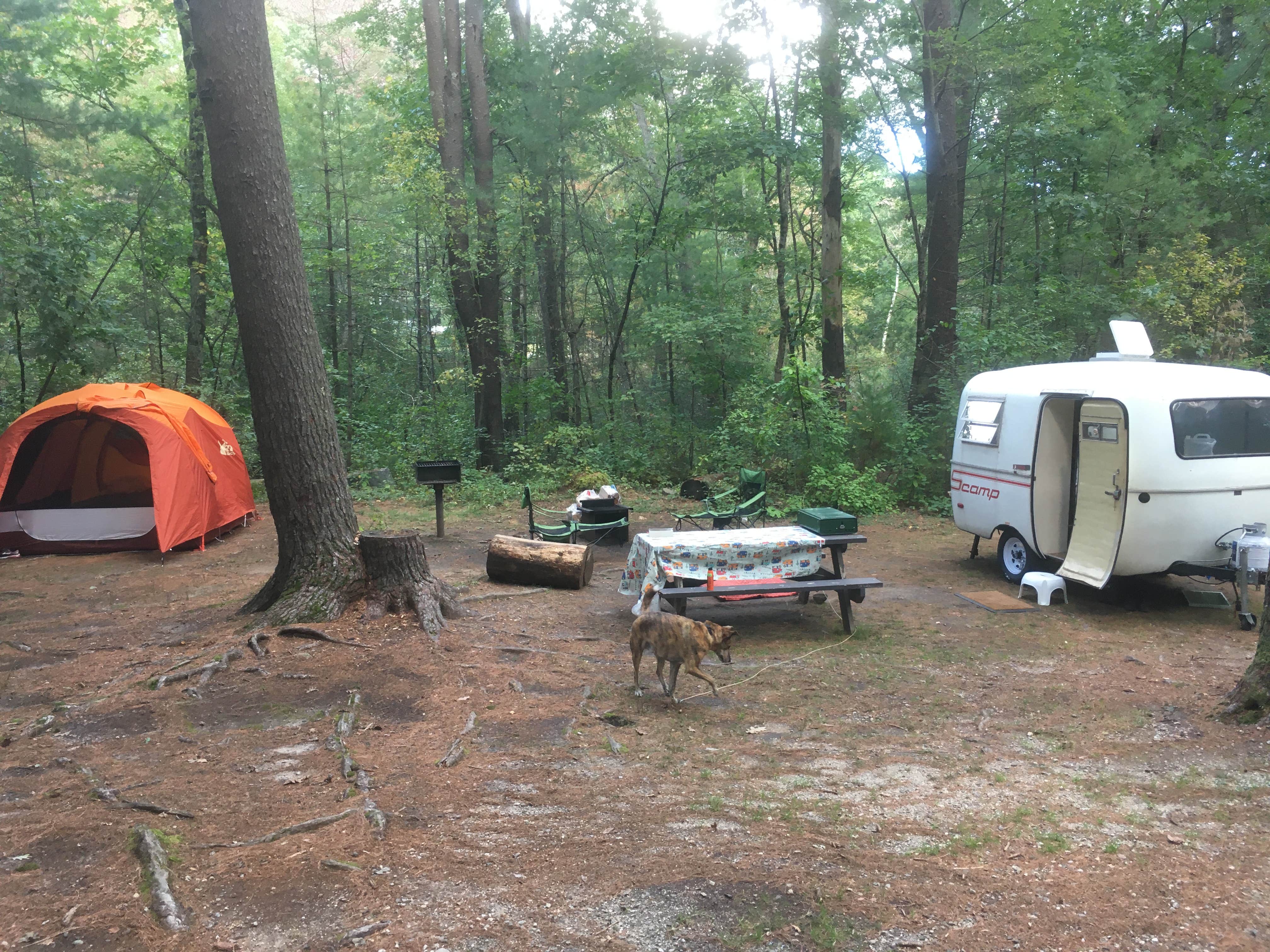 Alan's photo at Lorraine Park Campground — Harold Parker State Forest near Quincy, MA