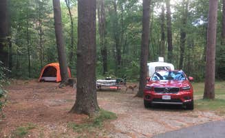 Alan's photo at Lorraine Park Campground — Harold Parker State Forest near Rockport, MA